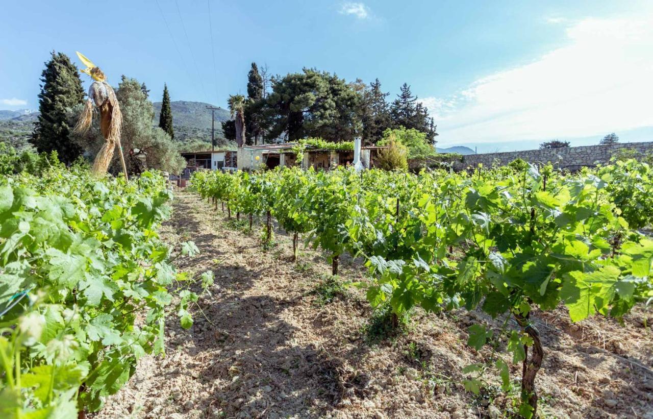 Villa Nassibe Estate Agios Ioannis  Exterior foto